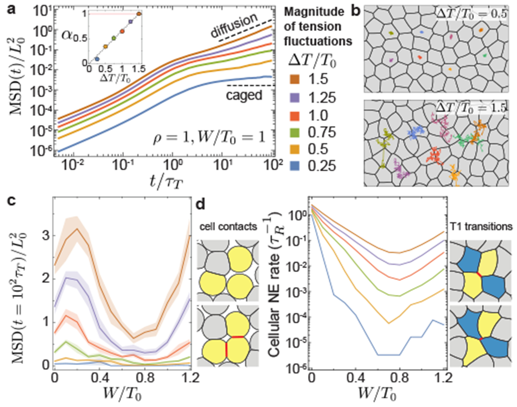 Figure 3: