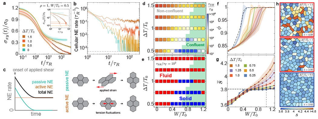 Figure 4: