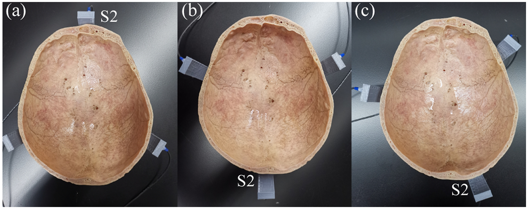 Fig. 8.