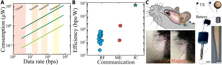 Fig. 6.