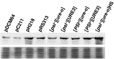 FIG. 6.