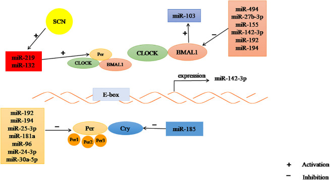 Figure 3