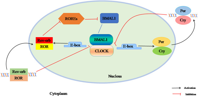 Figure 1