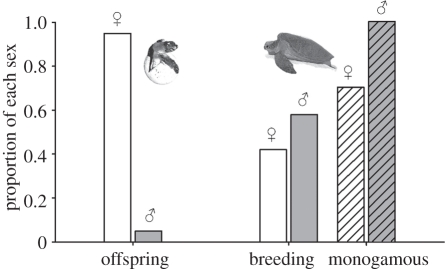 Figure 1.