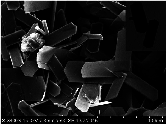 graphic file with name c8ra00079d-ga.jpg