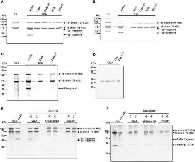 Figure 6