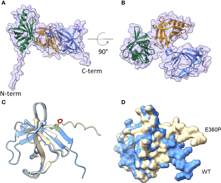 Figure 5