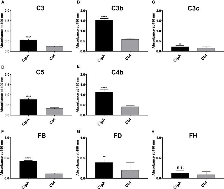 Figure 2