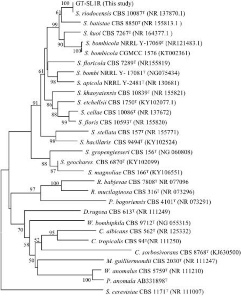 Fig. 1