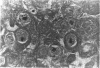 103