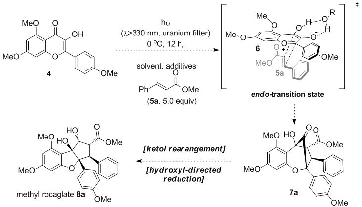 Scheme 1