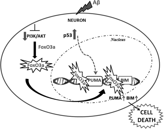 FIGURE 9.