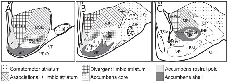 Fig. 12