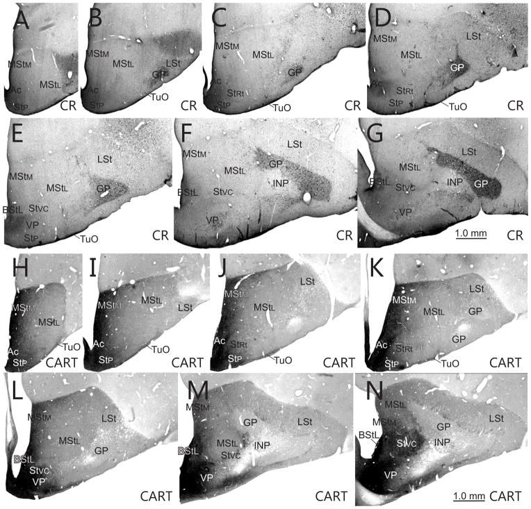 Fig. 10