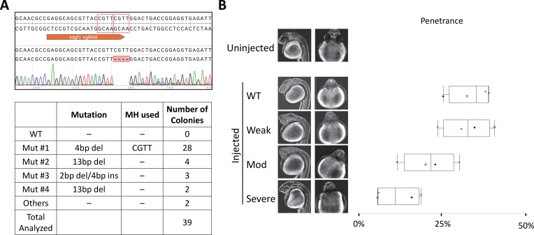 Fig 4