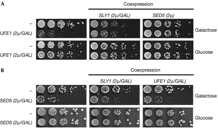 Figure 6