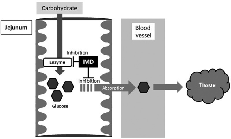 Figure 6.