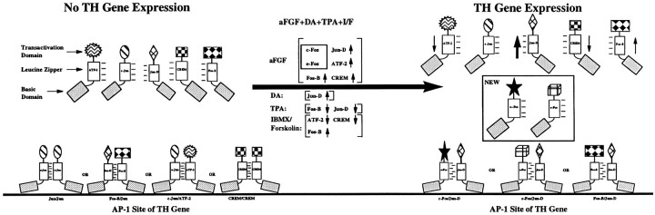 Fig. 9.