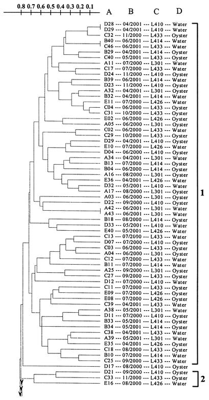 FIG. 4.