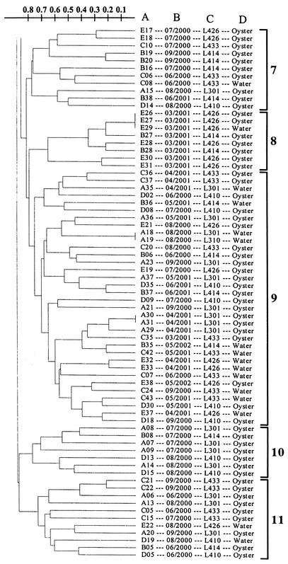 FIG. 4.