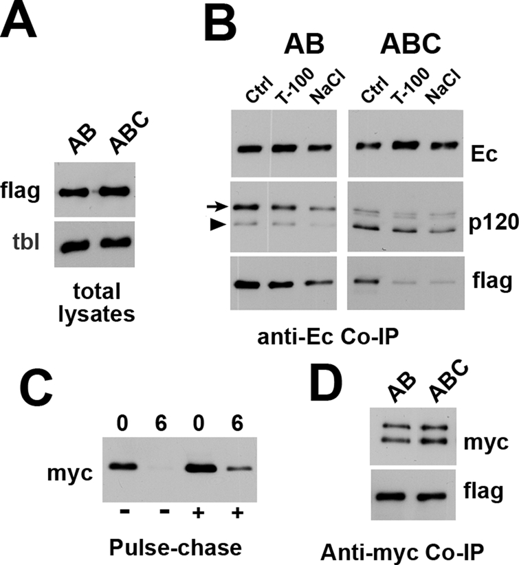 FIGURE 7: