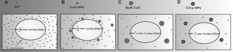 FIG 6