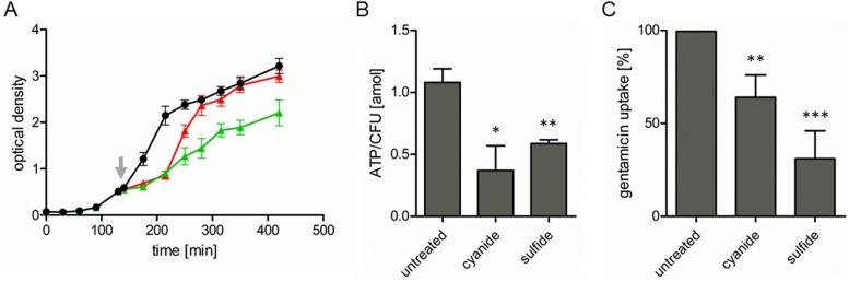 FIG 3