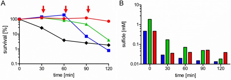 FIG 2