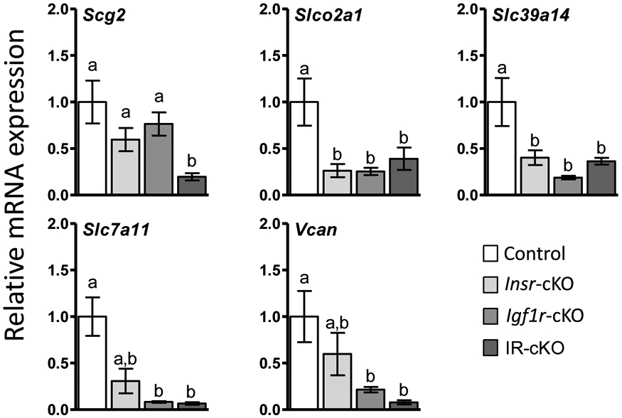 Figure 7.