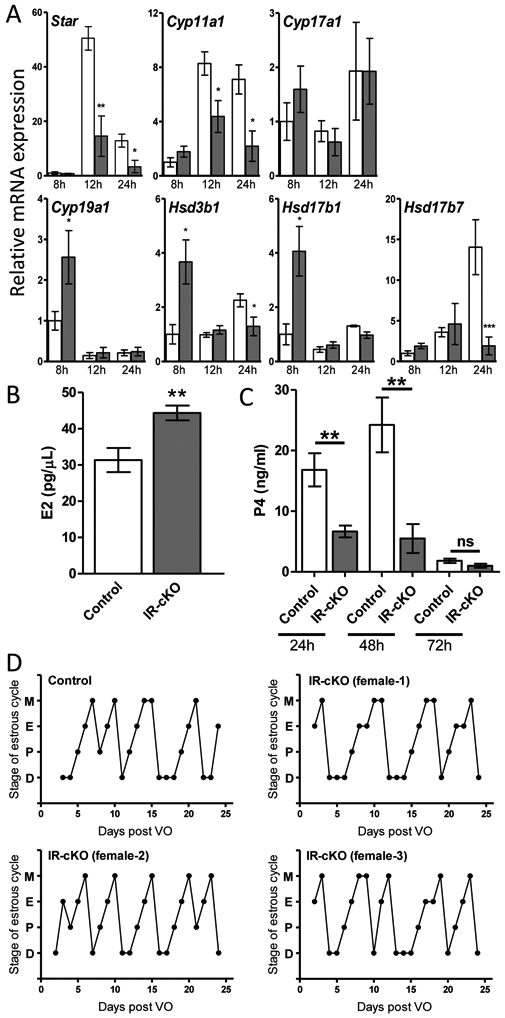 Figure 6.