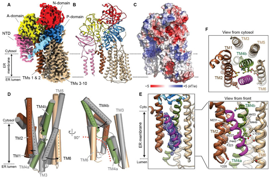 Fig. 4.