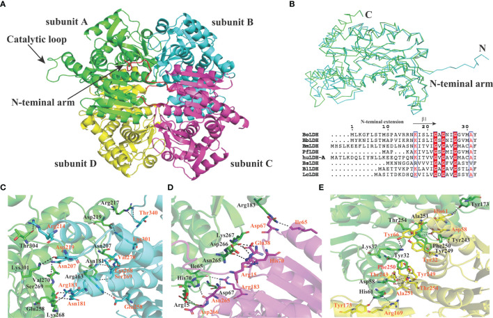 Figure 6