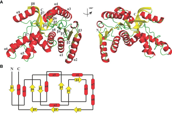 Figure 4