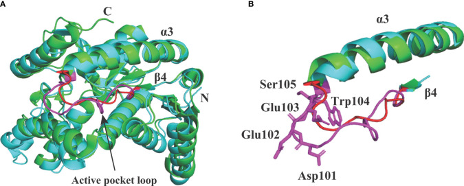 Figure 7