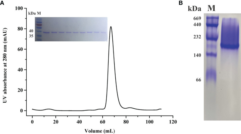 Figure 2