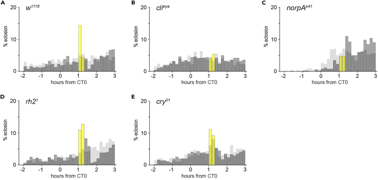 Figure 2