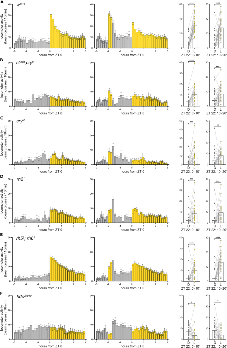 Figure 4