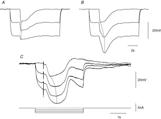 Figure 8