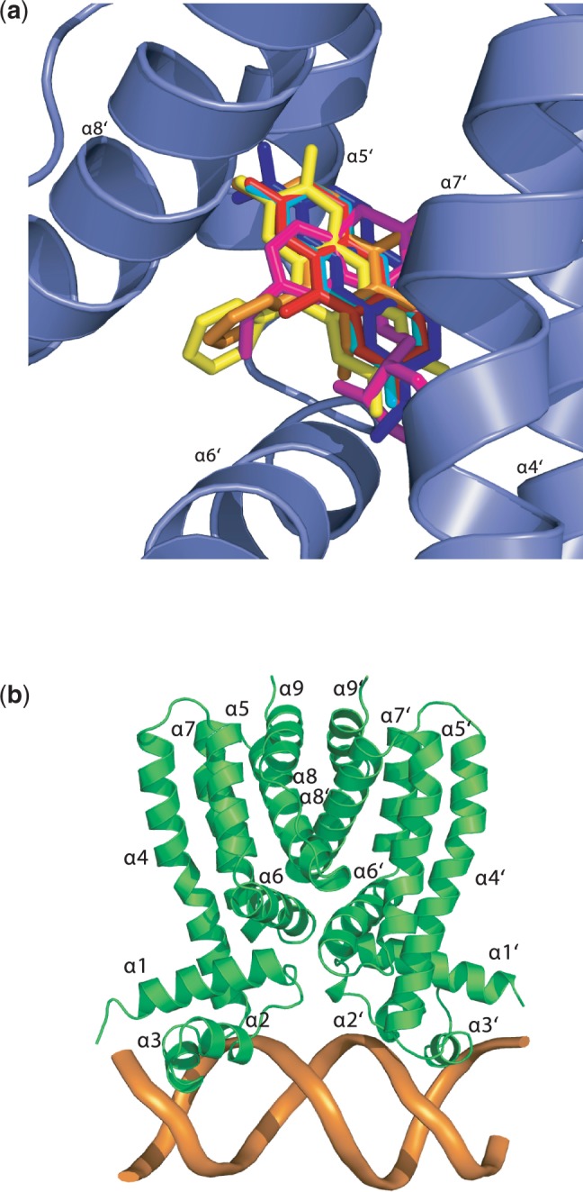 Figure 9.