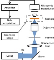 Fig. 1