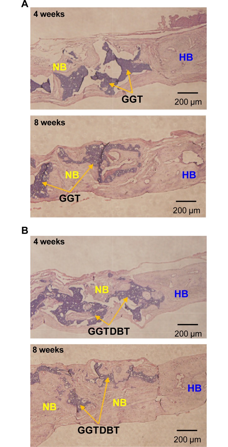 Fig 5