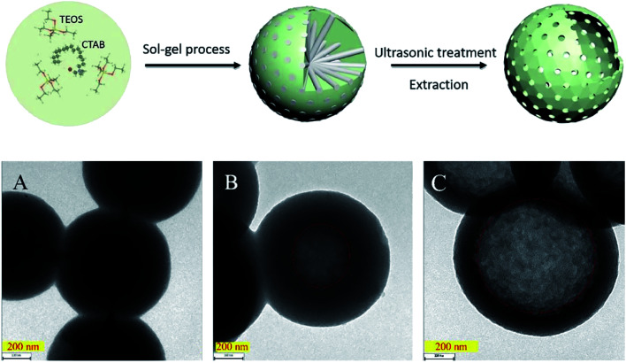 Fig. 11