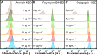 Figure 1—figure supplement 3.