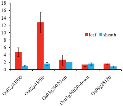 Figure 7