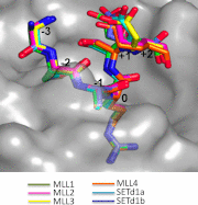 FIGURE 7.