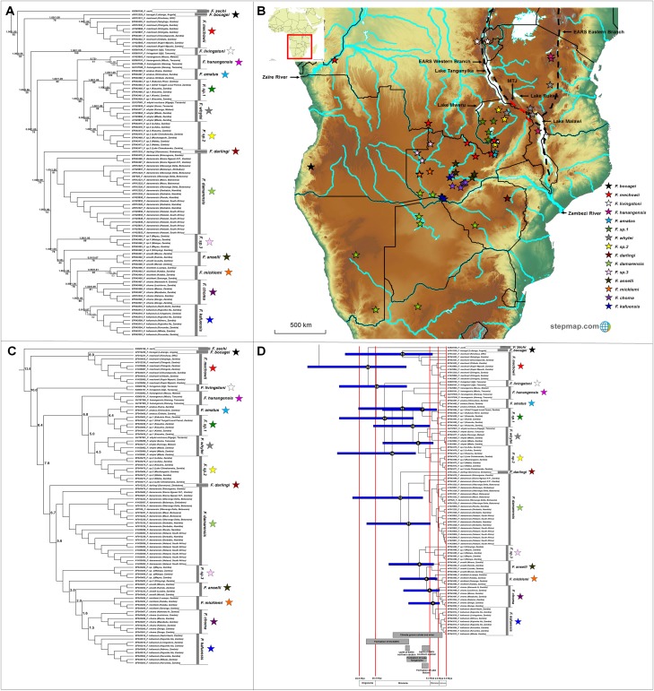 Figure 6