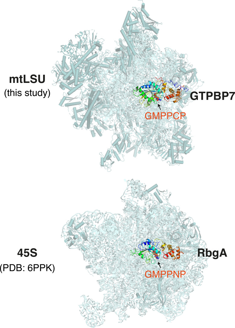 Figure 2—figure supplement 1.