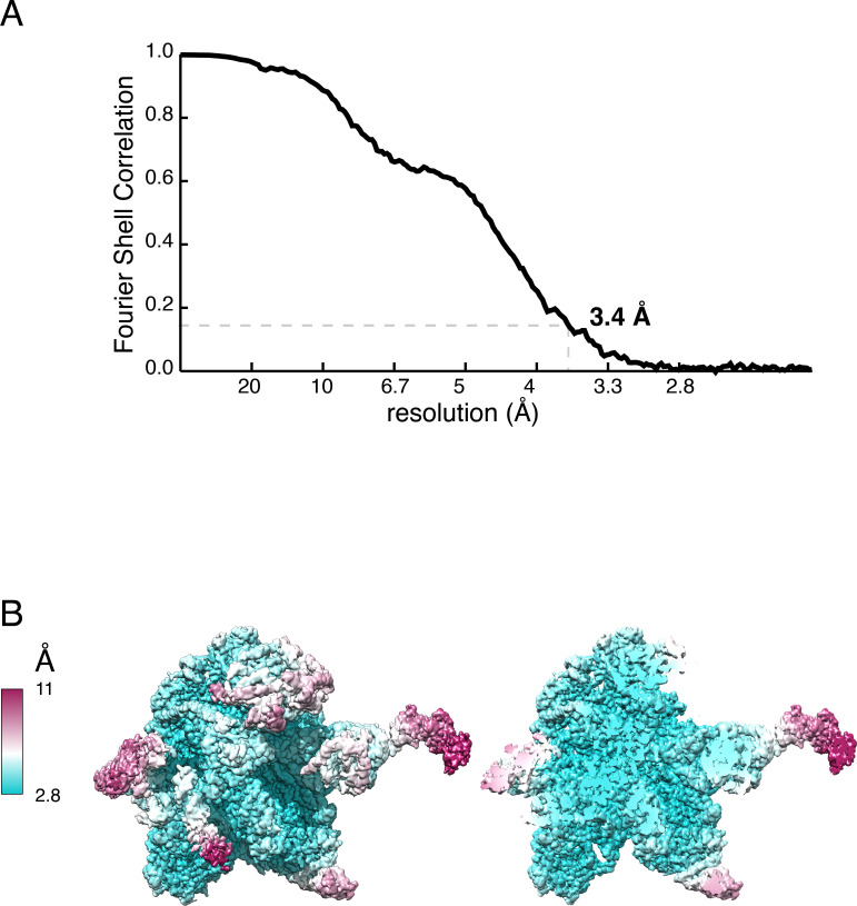 Figure 1—figure supplement 2.