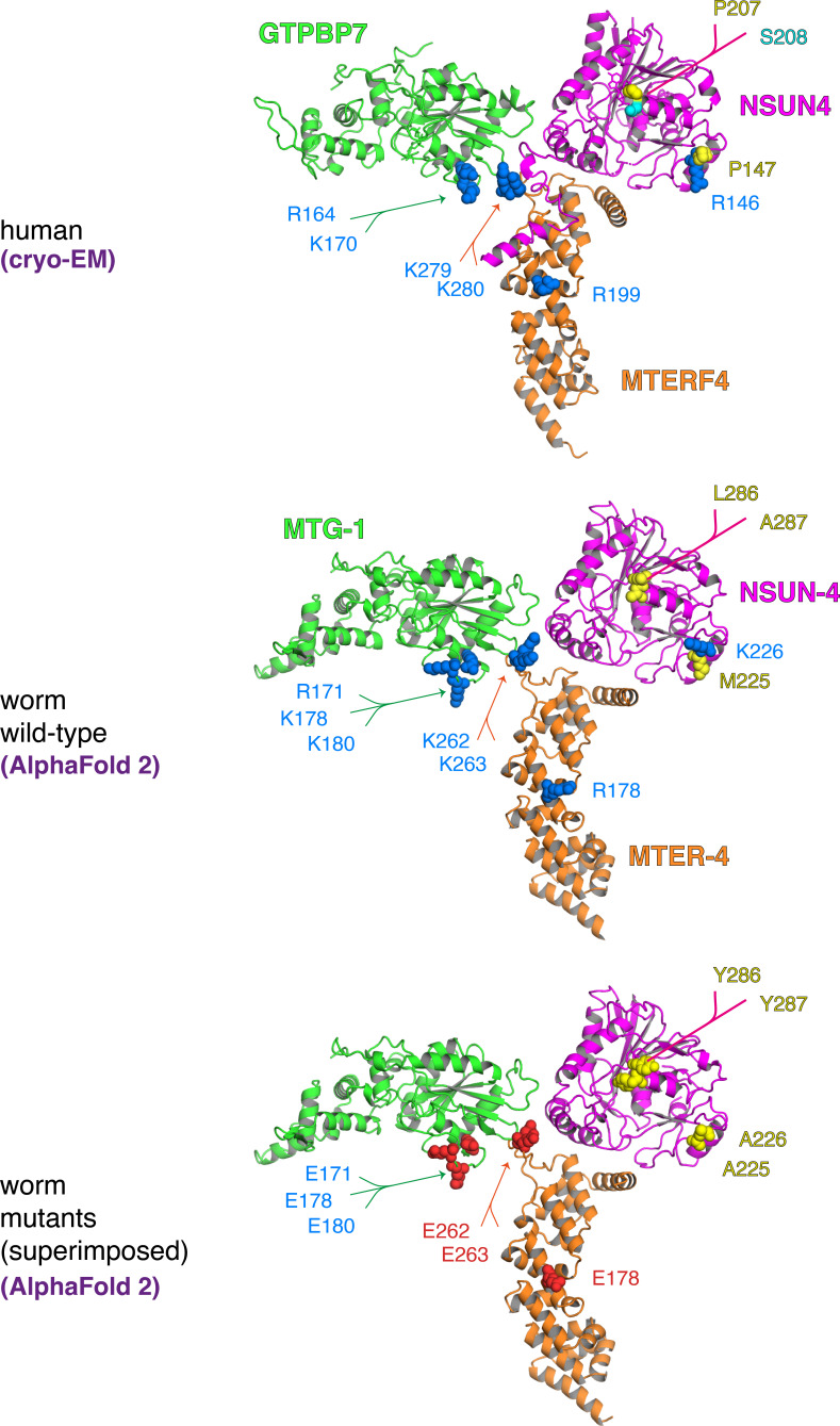 Figure 3—figure supplement 2.