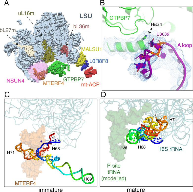 Figure 2.